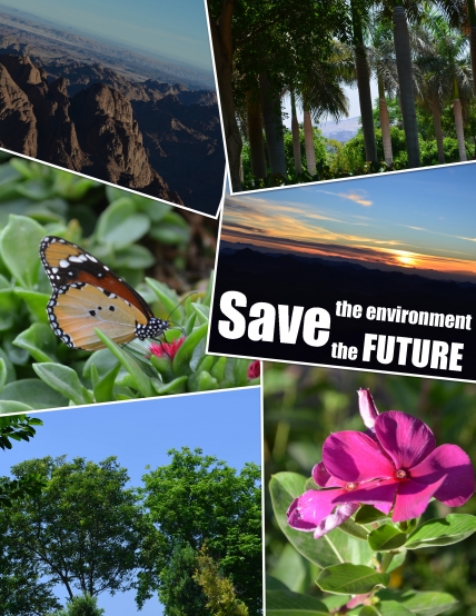 Save the Future