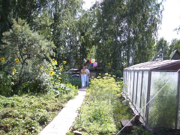 Конкурсная работа