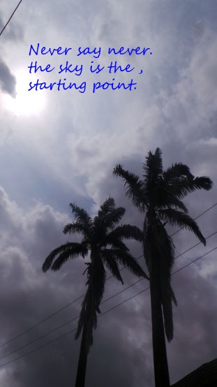 Never say Never - By Ronke Shodipo