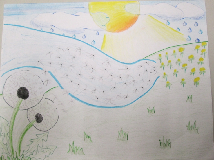 Nature of Inclusion by Alvis