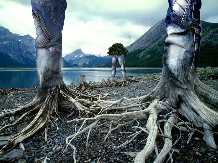 The End of the World