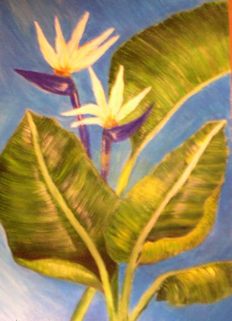Bird of paradise