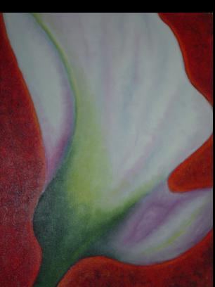 Tulipa Gelo