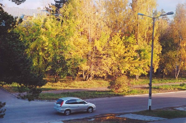 Осень в городе