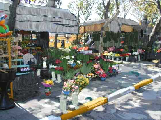 FLORIST