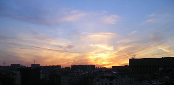 shadowcatArchitect_1