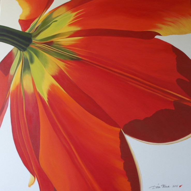 Red Tulip