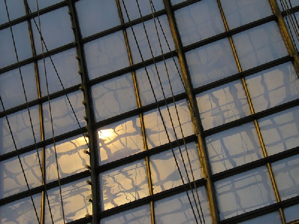 shadowcatArchitect_6