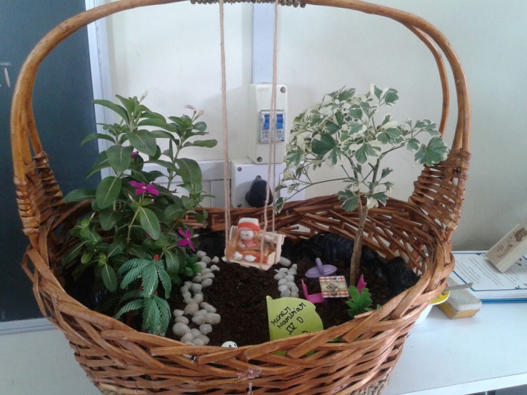 My personal garden