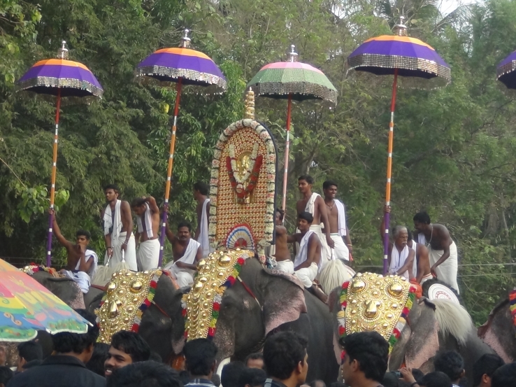 Elephants ready for the temple prayers
