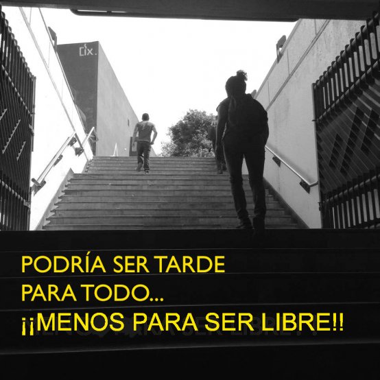 Really Free