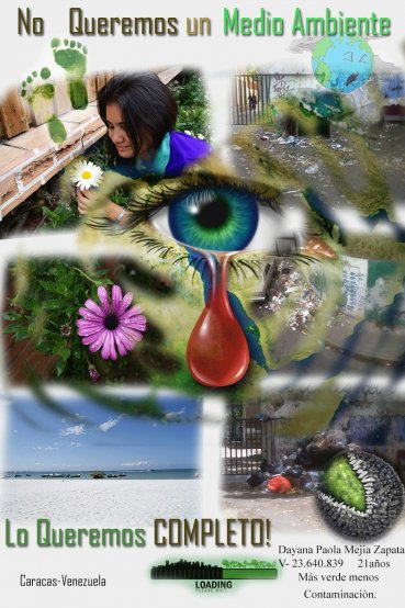 Environment
