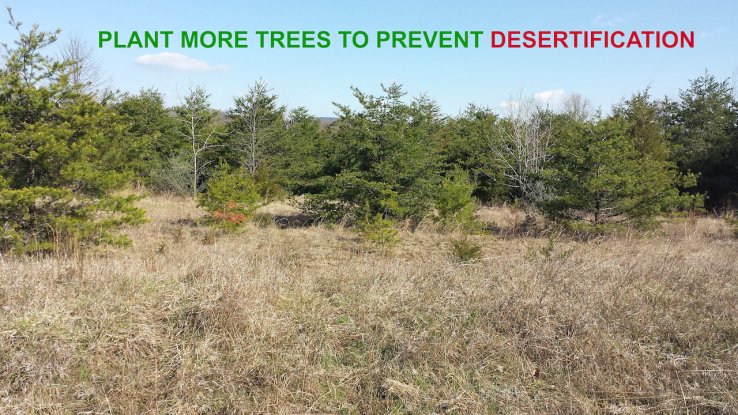 Prevent Deforestation