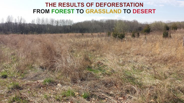 Evidence of Deforestation