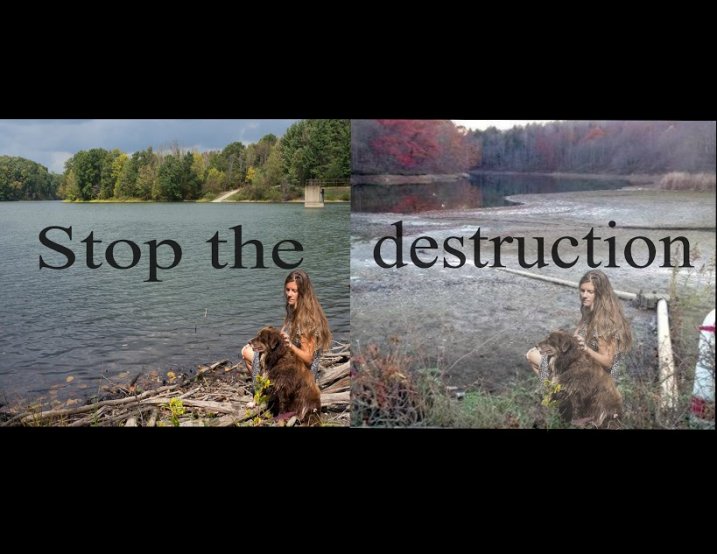 Stop the Destruction