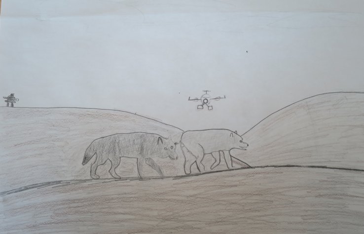 Arviat 5