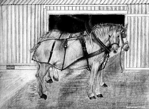 Work Horses