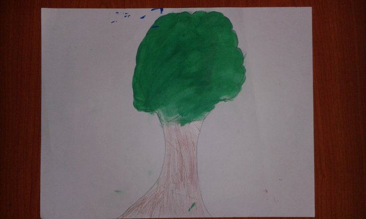 Cuidemos los arboles