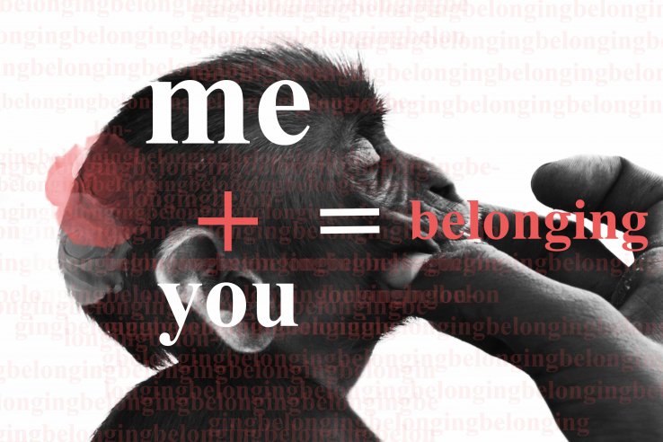 Me & You