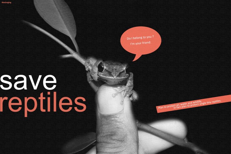 Save Reptiles