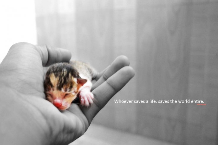 All are Important