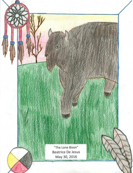 The Lone Bison