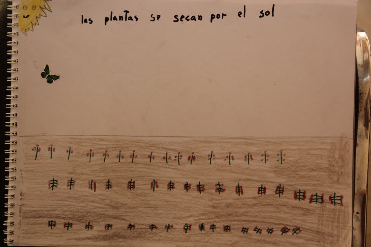 Plant are dying