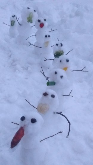 Canadian Diversity