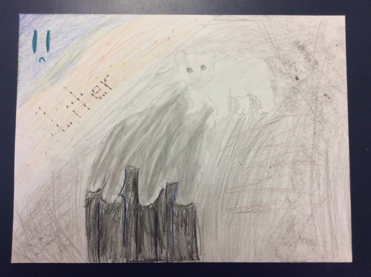 Save the Polar Bears
