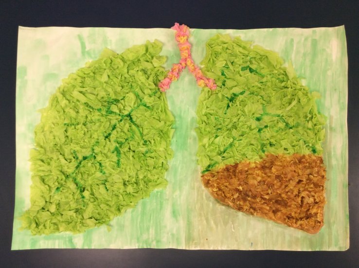 Earth Lungs