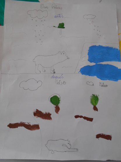 Polar Bear , before and after