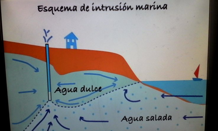 La salinización