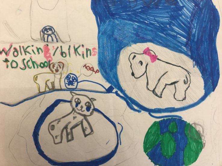 Help Polar Bears