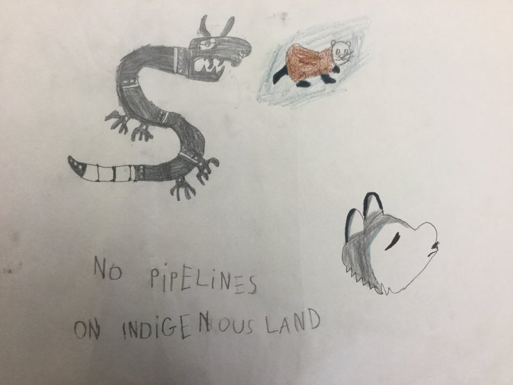 No Pipelines on Indigenous Land
