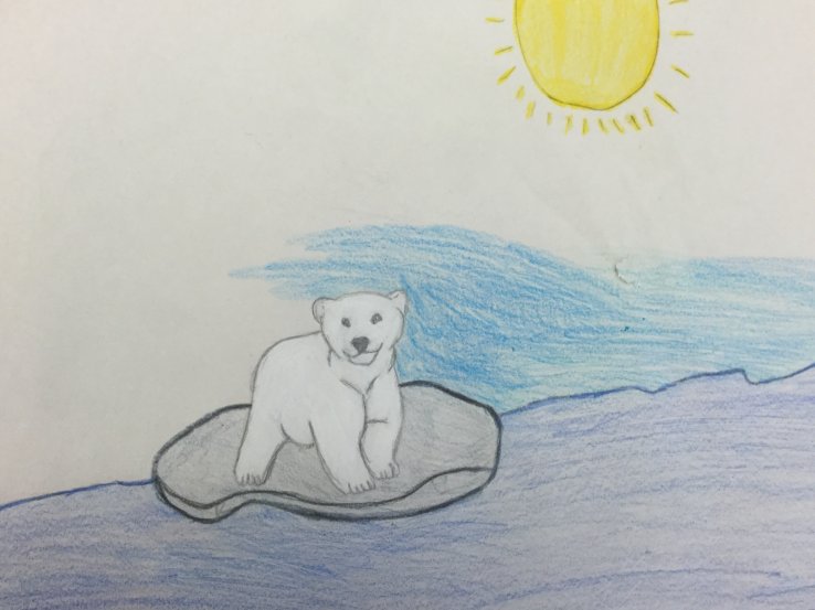 Lonely Polar Bear