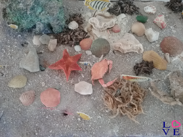 The Model: The seabed ...