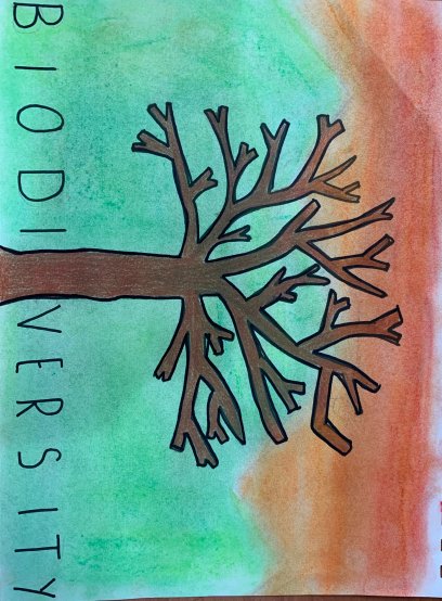 Biodiversity