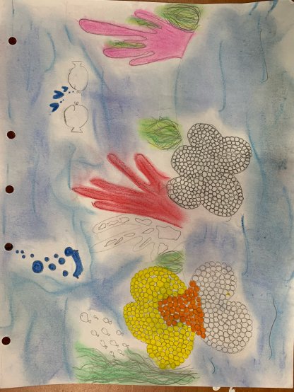 Coral reef