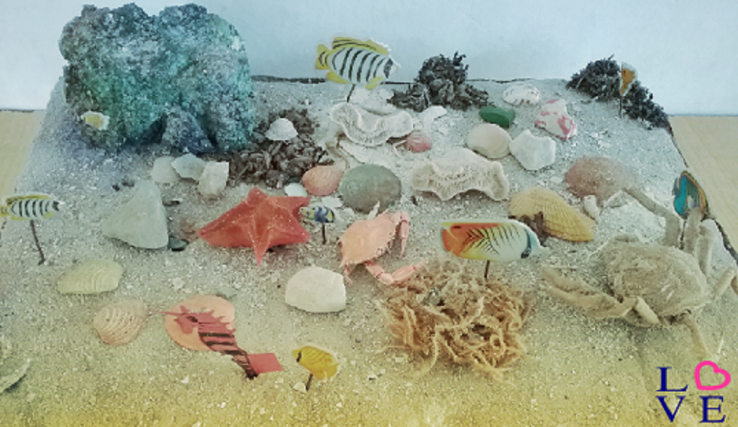 Teach to protect the oceans