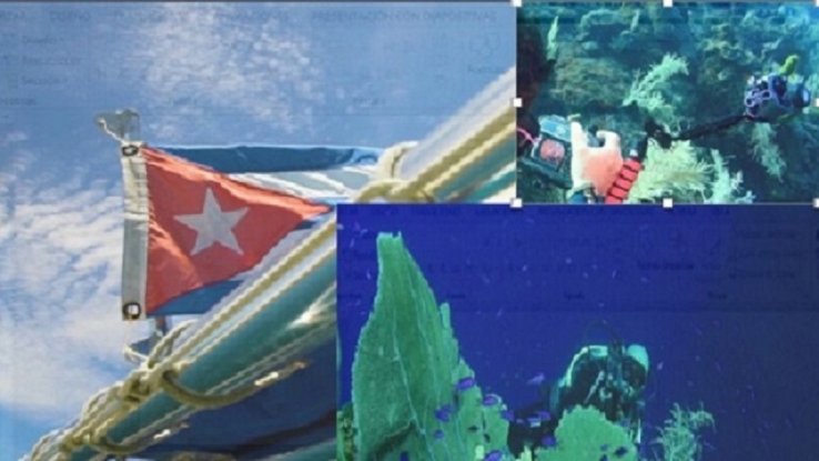 Protection of the seabed