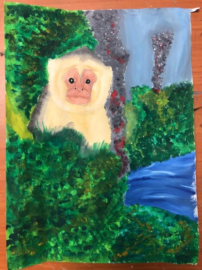 Looking into nature’s eyes