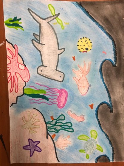 Marine life