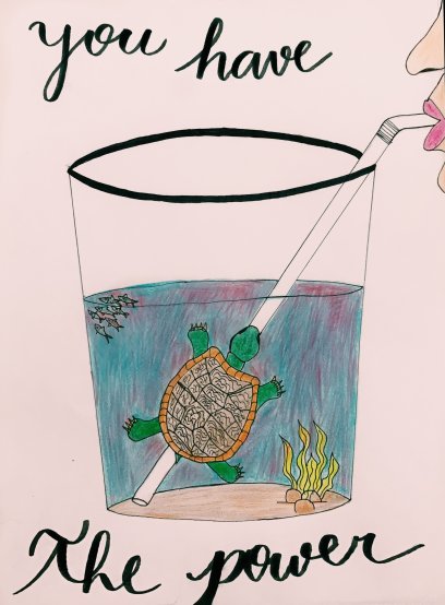 Plastic Impact