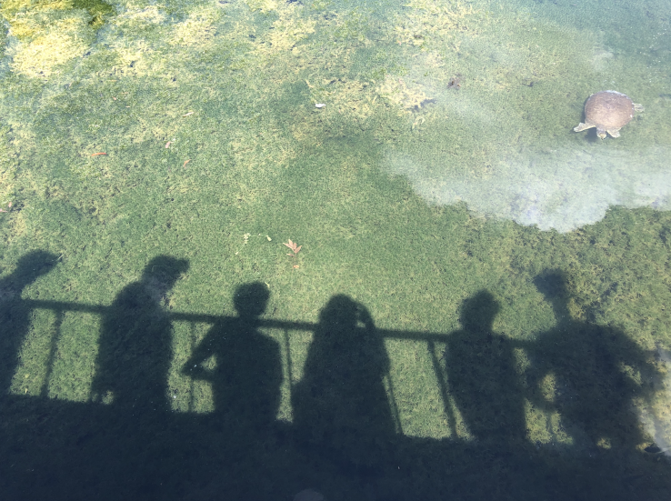 Floating Above Circumstances