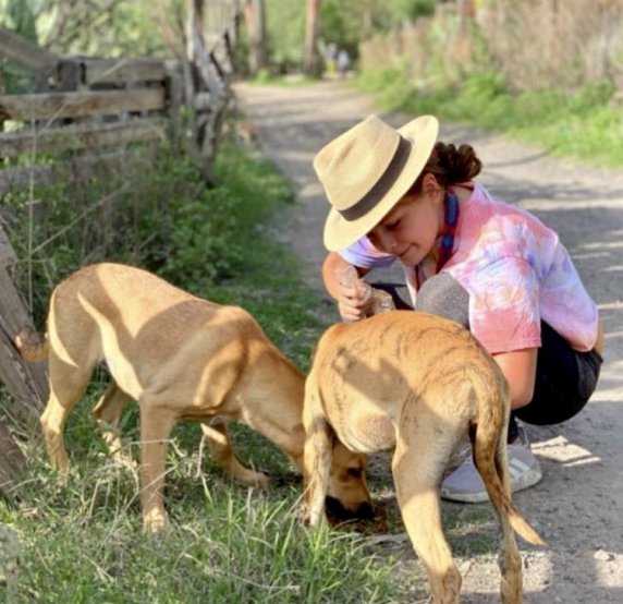 Pets & Quarantine
