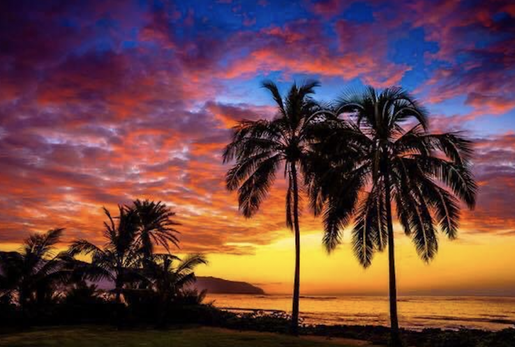Perfect Sunset in Quarantine