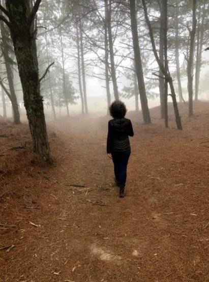 Fog