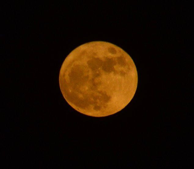 MOON LIGHT