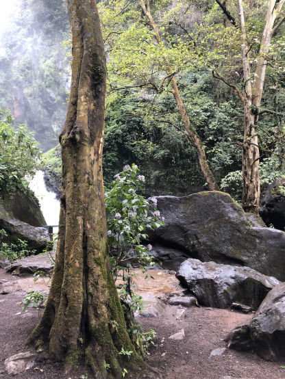 NATURE IS PERFECT, LET´S BALANCE OUR LIVES