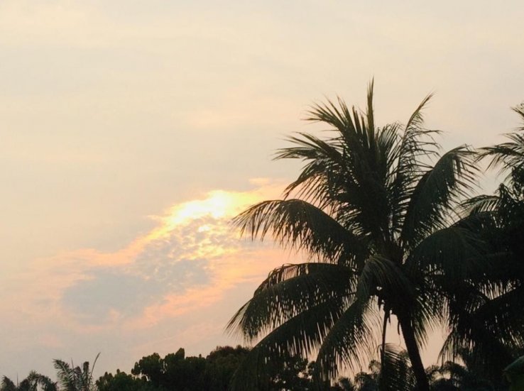 Naturaleza 1